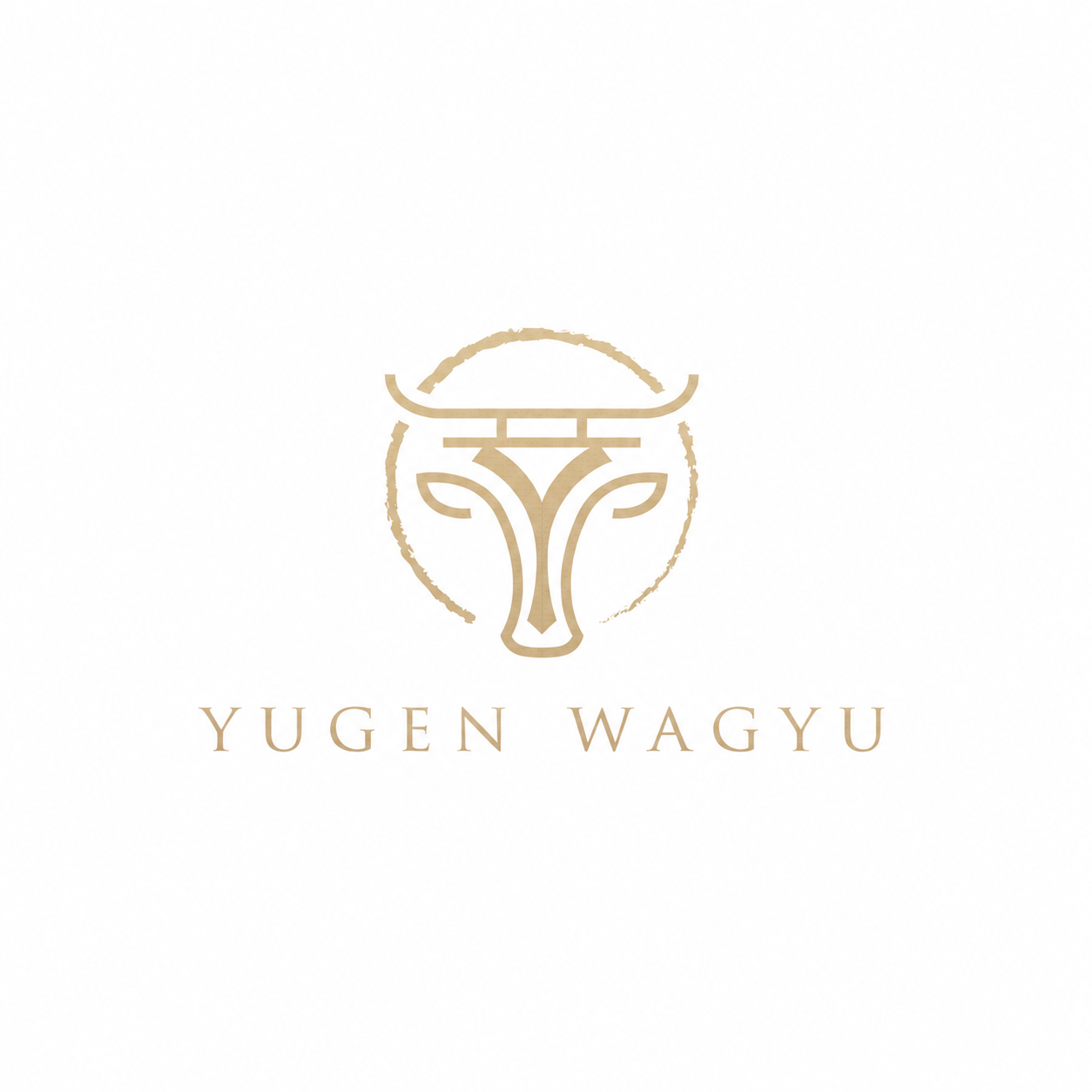 Logo color
